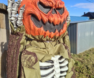 Oto najbardziej halloweenowy dom w Świętokrzyskiem!