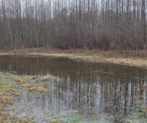 26. Rajd Mikołajkowy