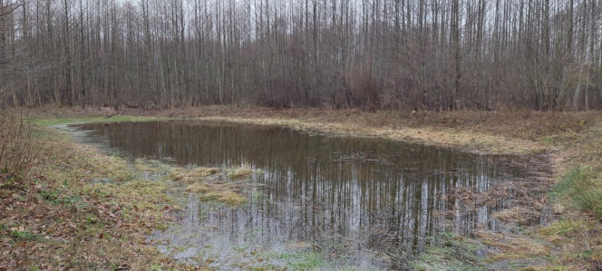 26. Rajd Mikołajkowy