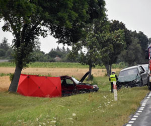 Dzieci jechały autem, zginęła 14-latka! MAKABRYCZNY wypadek na Lubelszczyźnie