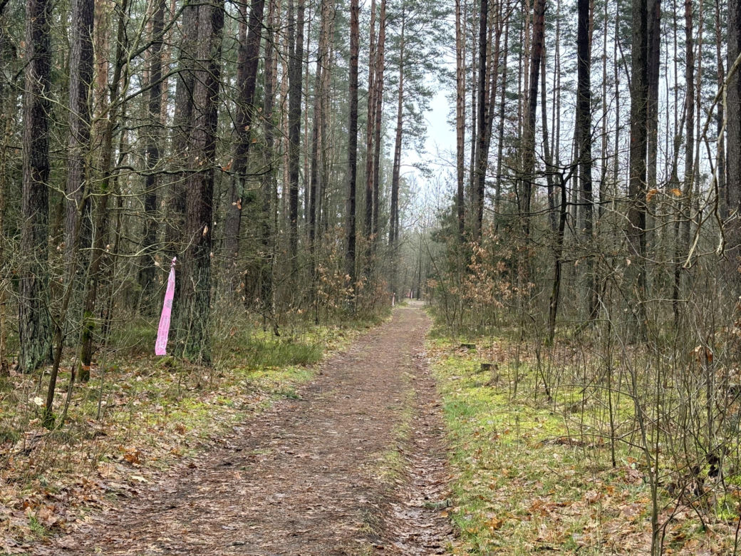 Za nami zawody biegowe BackYard Ultra Warmia 2024. Zwycięzca przebiegł ponad 470 kilometrów
