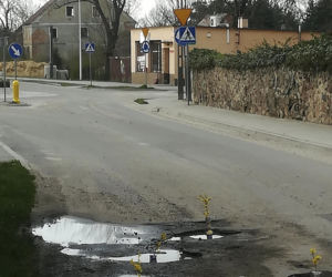 Wsadzają kwiaty do dziur
