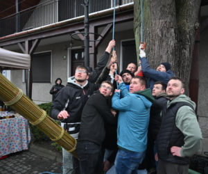 35 metrów i 80 centymetrów liczy palma, która zwyciężyła tegoroczny konkurs palm w Lipnicy Murowanej