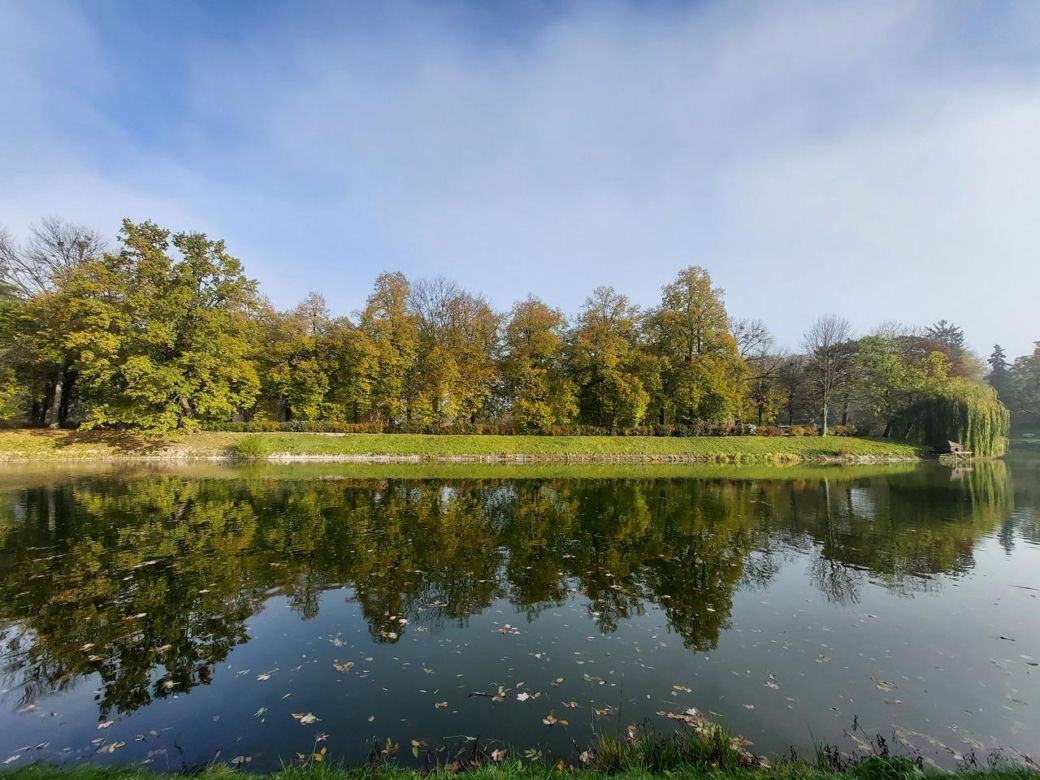Zamojski Park jesienią
