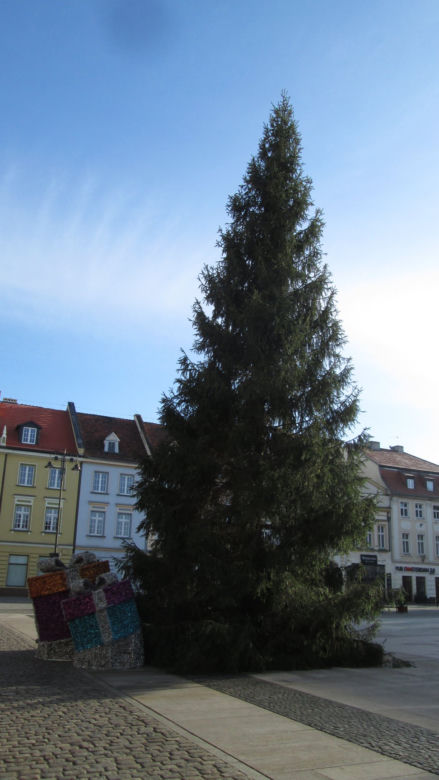 Bydgoski Jarmark Świąteczny 2019. Trwają ostatnie przygotowania! [ZDJĘCIA] 