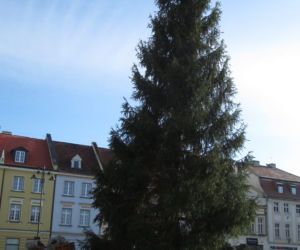 Bydgoski Jarmark Świąteczny 2019. Trwają ostatnie przygotowania! [ZDJĘCIA] 