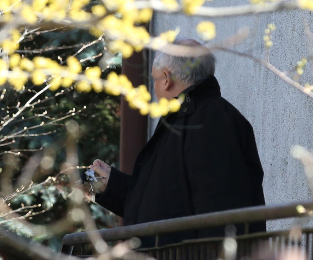  Tak Kaczyński woła kota 