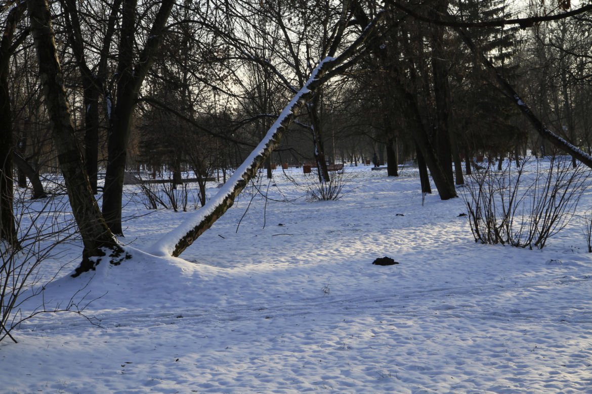 Park Ludowy w Lublinie oprószony śniegiem. Zobacz zdjęcia ze spaceru!