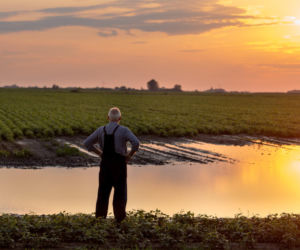 Emerytura KRUS: Szokująca kwota!