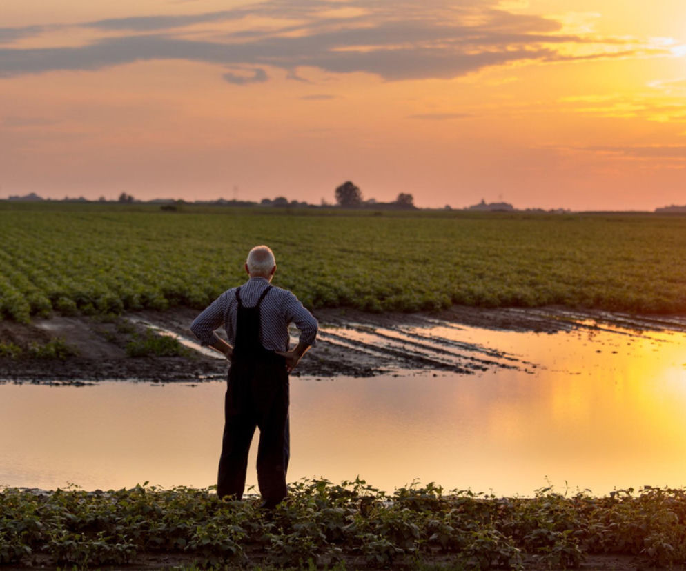 Starszy rolnik w roboczym kombinezonie, ze zmęczoną posturą, stoi na skraju zalanych pól uprawnych, spoglądając na zachodzące słońce. Scena oddaje ciężar pracy na roli i problematykę niskich emerytur z KRUS, o których można przeczytać na Super Biznes.