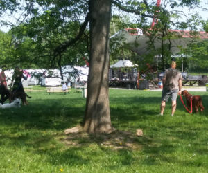Na scenie pojawią się Dominika Kobiałka, Clockwork Mind, Insani, The Louders oraz finałowo - Le Moor.