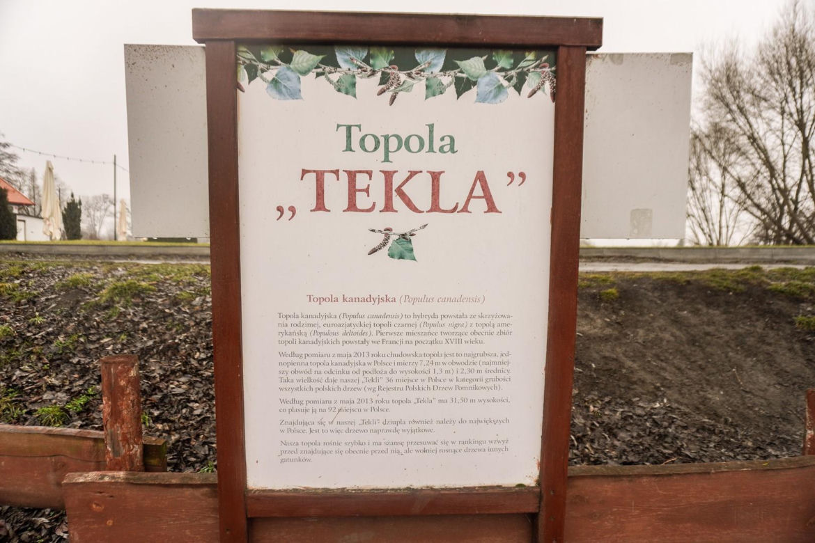 Zamek w Chudowie to niezwykła atrakcja turystyczna