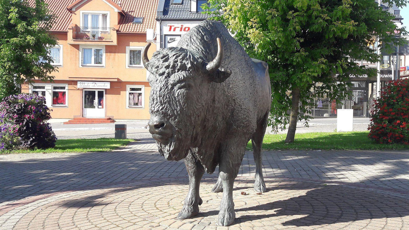 Zambrów na Podlasiu