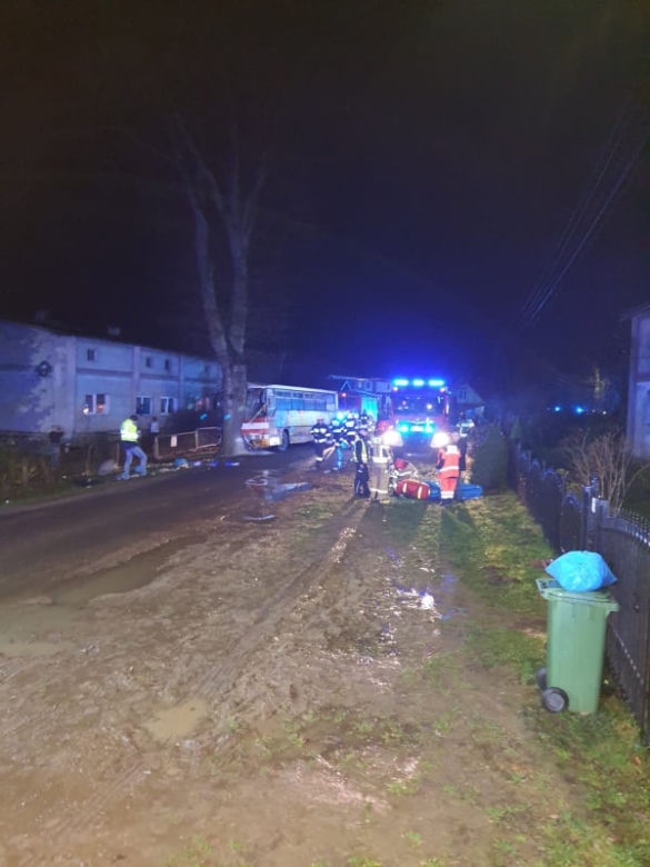 Autobus z dziećmi uderzył w drzewo! Są ranni. Dramat w Trzebiechowie [GALERIA]