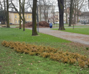 W parku na Pl. Kościuszki przygotowania do nowego sezonu