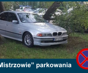 Mistrzowie parkowania. Tak kierowcy parkują w Warszawie