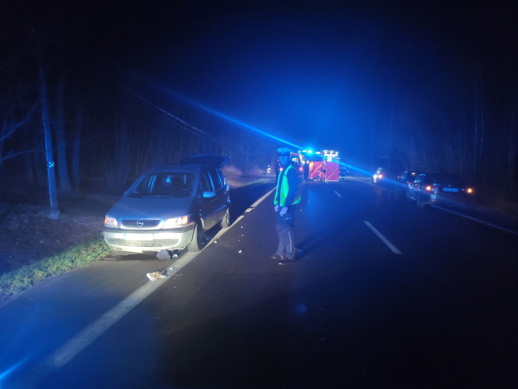 Koszmar na drodze niedaleko Torunia. 38-latek ZABIŁ pieszego!