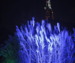 Lasery, muzyka i kolorowe iluminacje w Ogrodzie Botanicznym we Wrocławiu