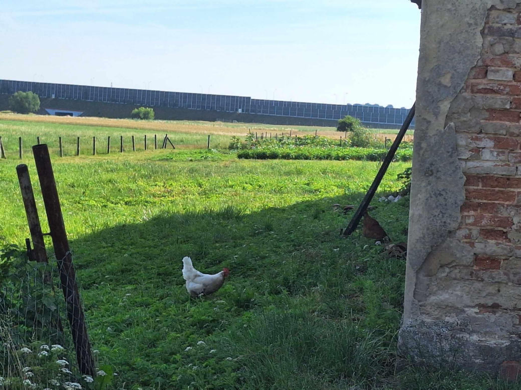 Szałsza, czyli niewielka miejscowość leżąca w powiecie tarnogórskim