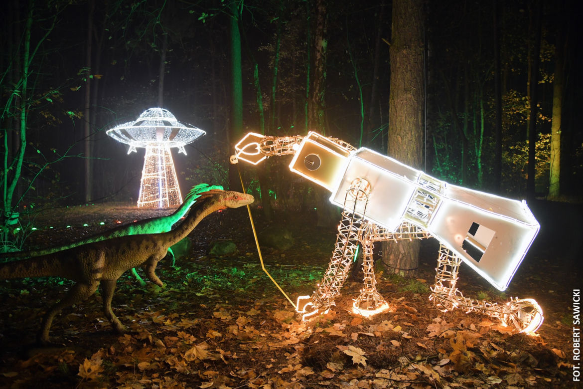 Park iluminacji w Bydgoszczy. Niezwykła świetlna atrakcja.już otwarta! [ZDJĘCIA]