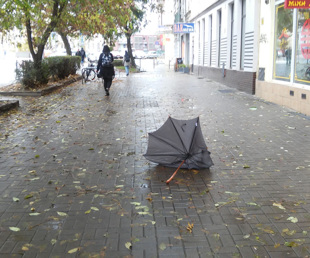 Czy 1 listopada będą nam potrzebne we Wrocławiu (solidne) parasolki?