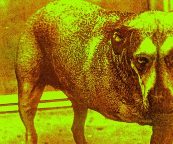 Alice in Chains i historia powstania albumu Alice in Chains