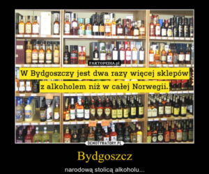 Memy o Bydgoszczy. Z tego śmieją się internauci [TOP 20]