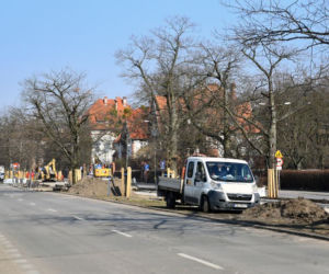 Spore zmiany na Alei Ossolińskich w Bydgoszczy. Będzie ścieżka rowerowa