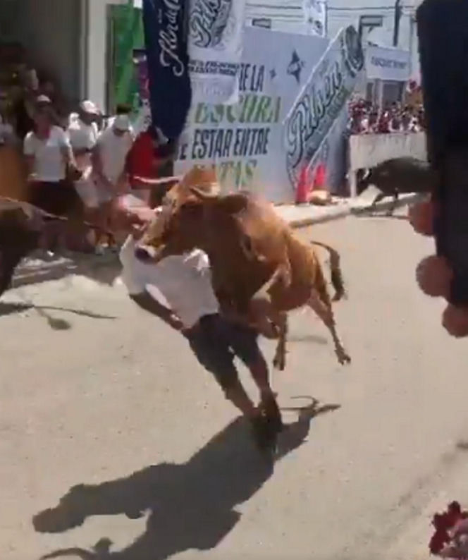 Szokujące sceny podczas gonitwy byków. Mężczyzna oszukał przeznaczenie