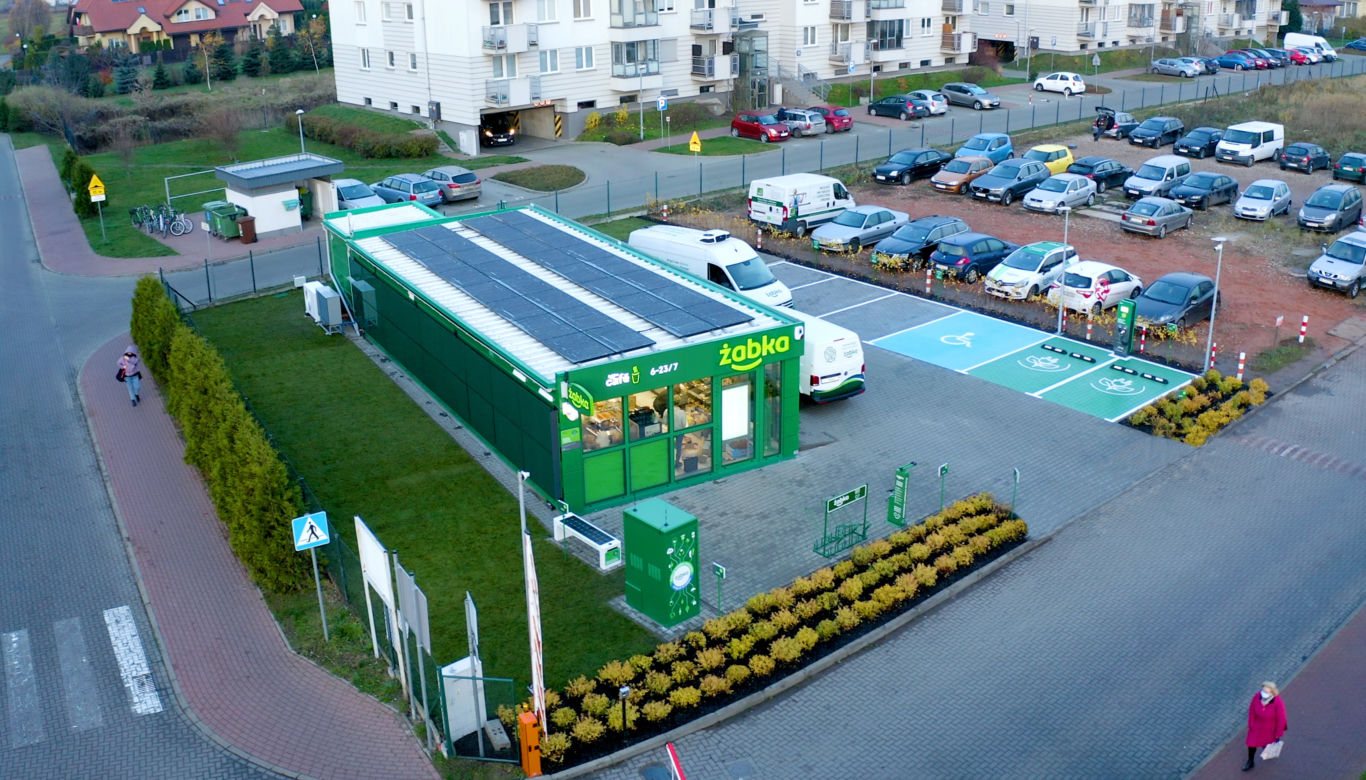 Żabka zielona z natury