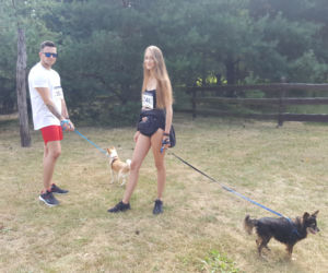 pieski bieg charytatywny