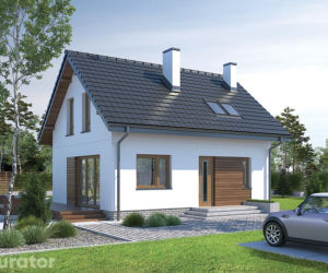 Projekt M245 Trafna decyzja