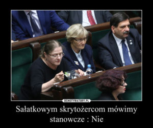 Krystyna Pawłowicz je w Sejmie MEMY