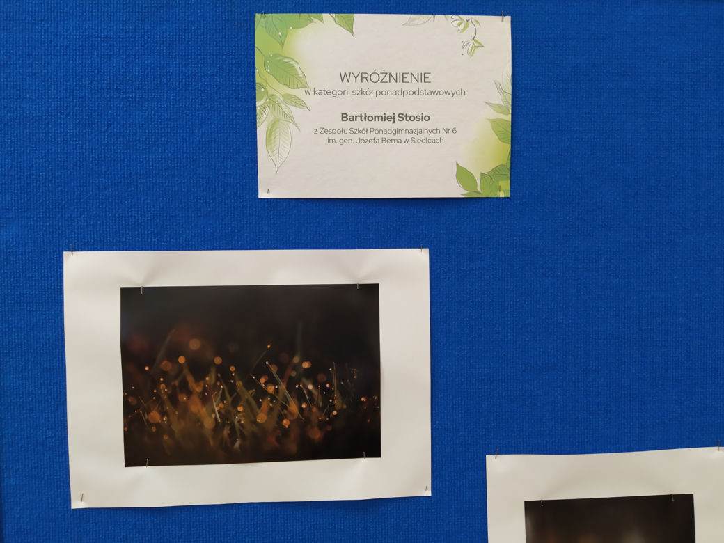 Podsumowanie konkursu "Wiosna w obiektywie" – FOTORELACJA 