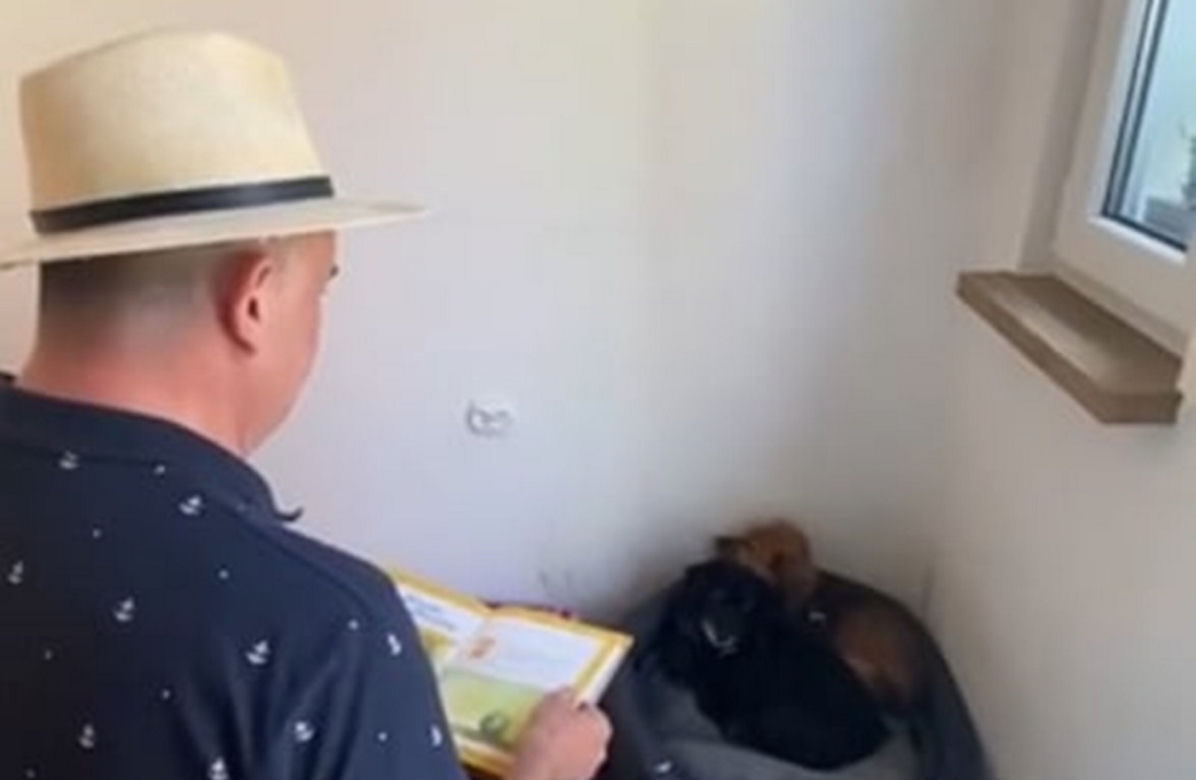 Psy słuchają Kubusia Puchatka, żeby przyzwyczaiły się do głosu człowieka