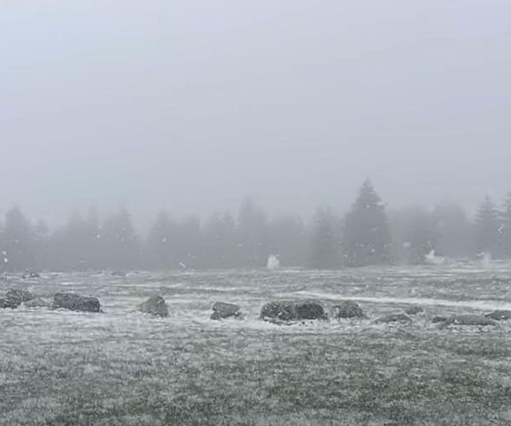 Śnieżyca w środku maja! Zima uderzyła na południu, IMGW wydało pilne alerty