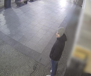 Stojący na czatach