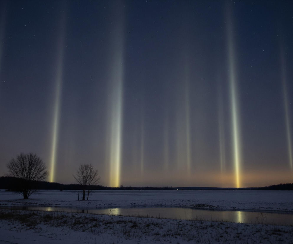 Zimowy krajobraz nocny rozciąga się pod ciemnym, granatowym niebem, usianym licznymi, drobnymi gwiazdami. W górnej części obrazu dominują pionowe, jasne słupy światła, różnej intensywności i szerokości, niektóre z nich mają lekko żółtawy odcień, a ich blask odbija się również w niższych partiach. Horyzont wyznacza pas ciemnych drzew bez liści po lewej stronie, oraz niewyraźny, ciemny kształt lasu na drugim planie, z pomarańczową poświatą nad nim, prawdopodobnie odległego miasta. Środkowa część kompozycji ukazuje szerokie, zaśnieżone pole z kilkoma nagimi drzewami o wyraźnych gałęziach, natomiast na pierwszym planie widać zamarznięty lub pokryty cienką warstwą lodu zbiornik wodny, w którym odbijają się słupy światła z nieba oraz drobne odblaski.