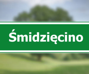 Śmidzięcino