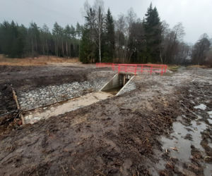 Na Warmii powstaje ptasie El Dorado. Sztuczne wyspy przyciągną rybitwy [ZDJĘCIA]