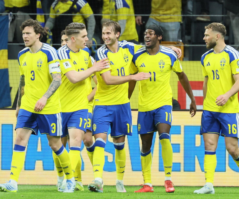 Afera po meczu Szwecja - Polska. Internauci domagają się interwencji FIFA