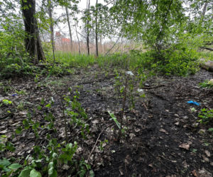 13-letni Mikołaj zginął nad jeziorem. xxx Śledczy mówią o brutalnym pobiciu