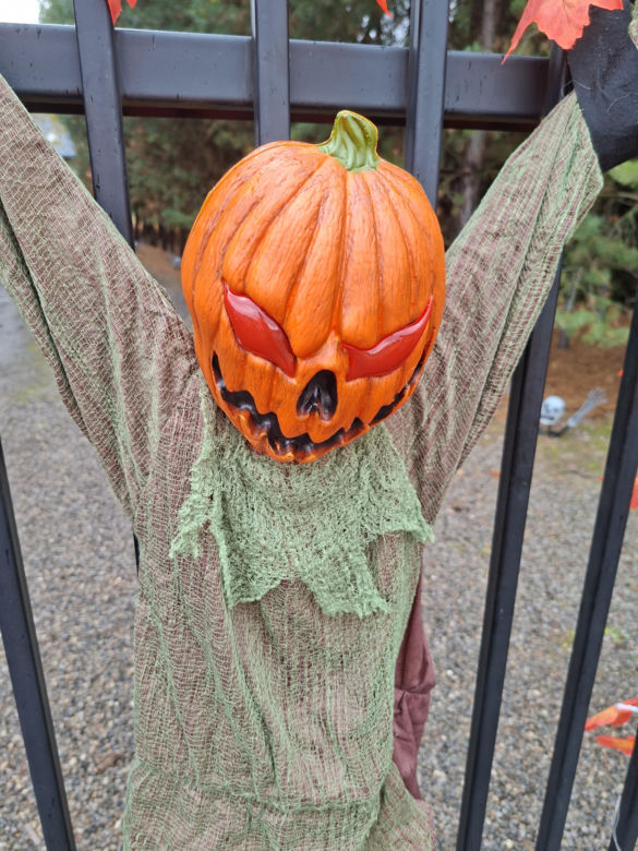 Oto najbardziej halloweenowy dom w Świętokrzyskiem!