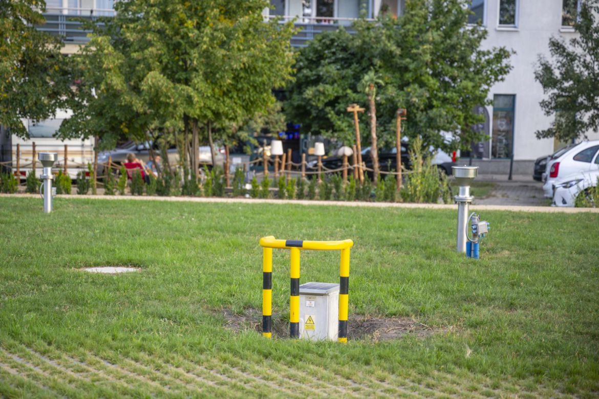 1000 drzew, 100 tysięcy krzewów i ogród zmysłów