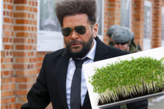 Rzeżuchy które wyglądają jak Krzysztof Rutkowski! Nie jesteście na to gotowi. My też nie byliśmy.