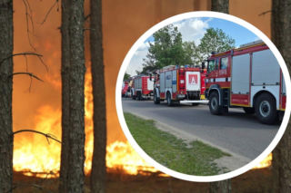 Ogromny pożar w powiecie wołomińskim. Na pomoc ruszyli strażacy z Siedlec i regionu!