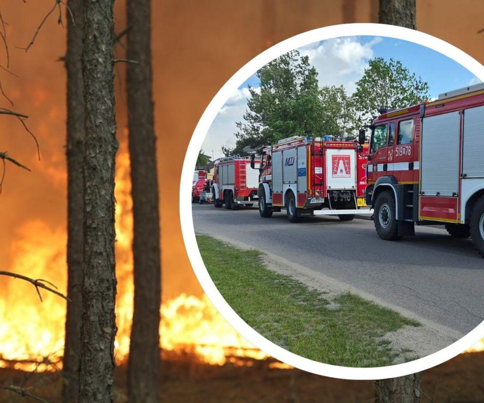 Strażacy z Siedlec i regionu walczą z ogromnym pożarem w powiecie wołomińskim