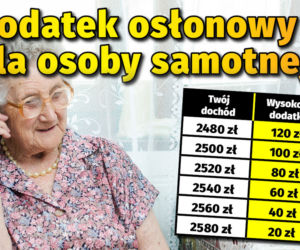 Dodatek osłonowy