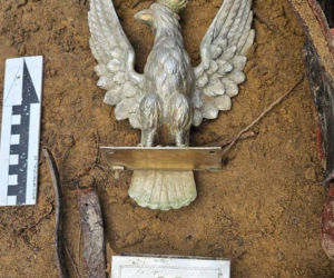 Niesamowite znalezisko w Nadleśnictwie Starachowice