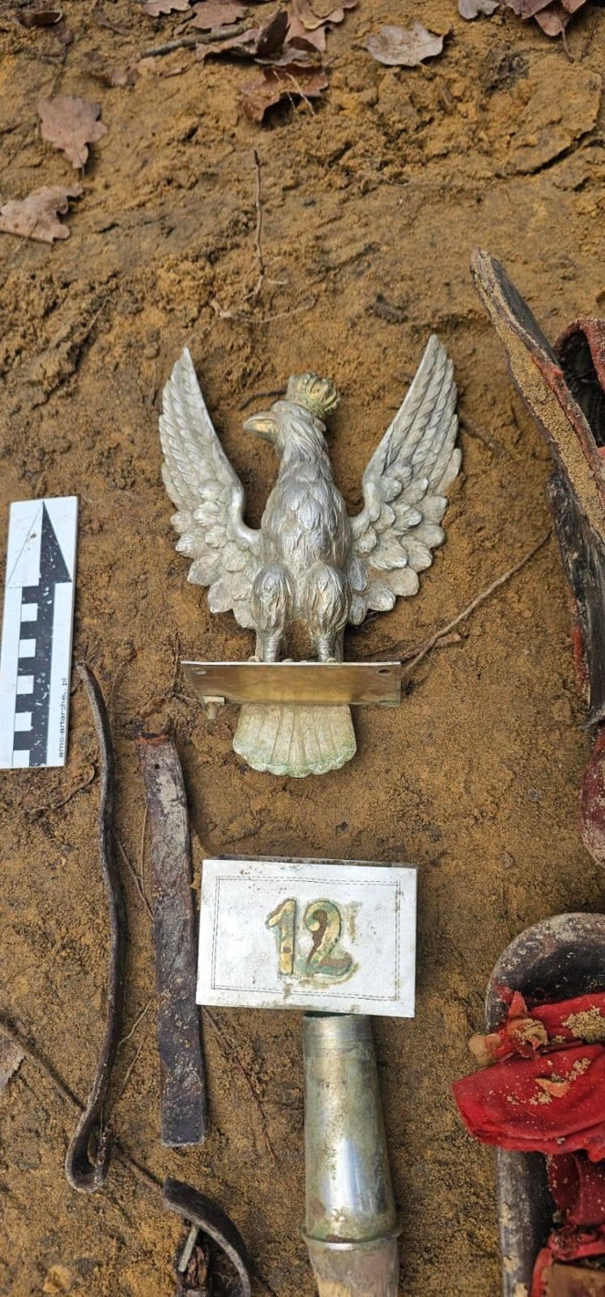 Niesamowite znalezisko w Nadleśnictwie Starachowice